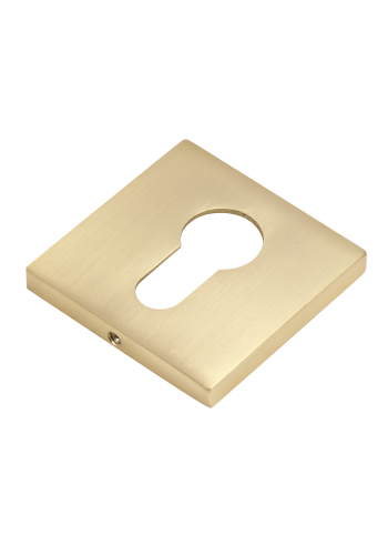 Накладка на ключевой цилиндр BUSSARE B0-40 W.GOLD (валлийское золото)